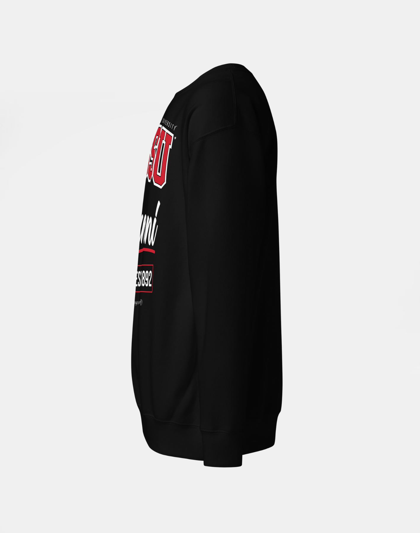 Winston-Salem State University (WSSU) - The Family - Sweatshirt