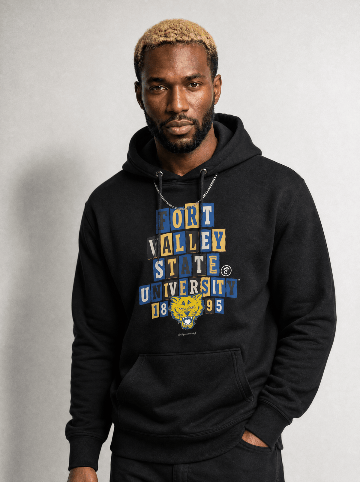 Fort Valley State University - Collage Hoodie