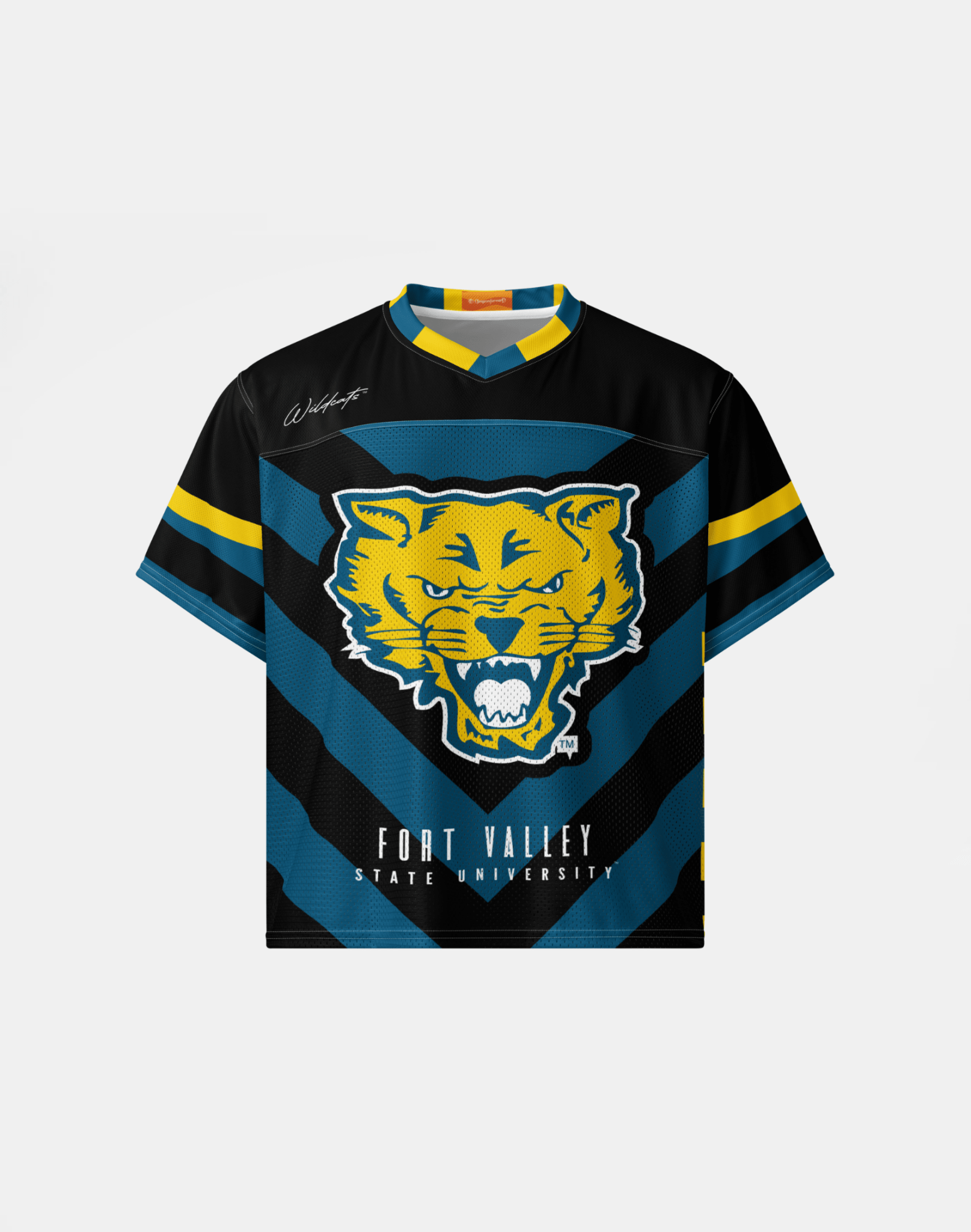 Fort Valley State University - Phenom HBCU Box Football Jersey
