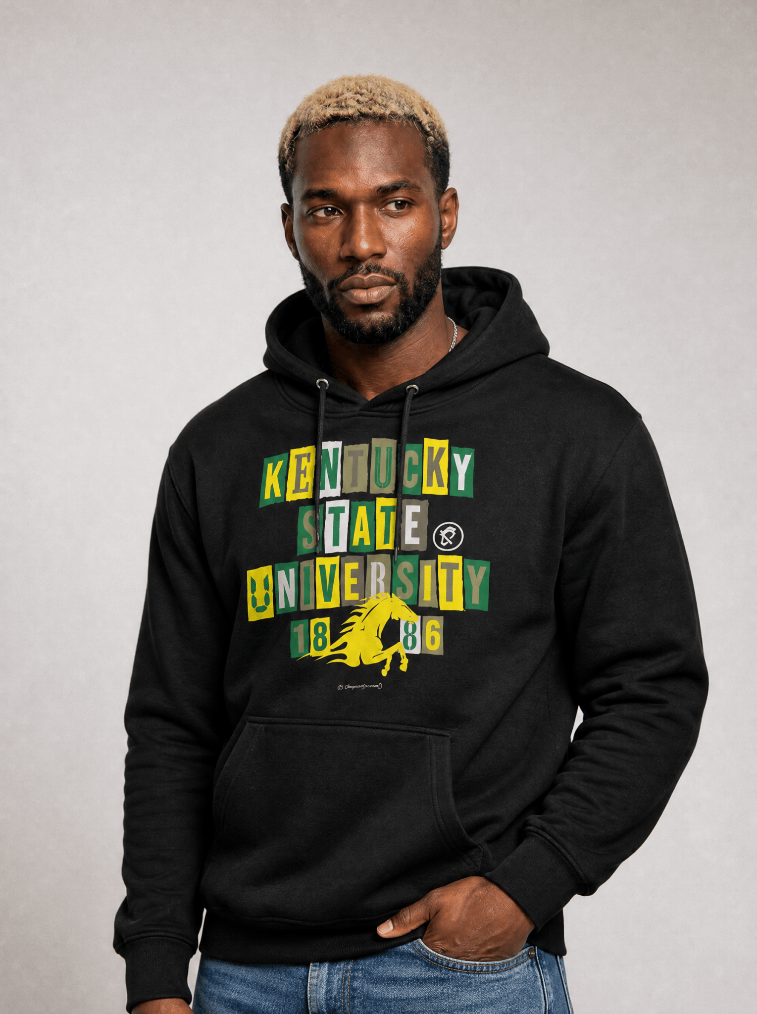 Kentucky State University - Collage Hoodie