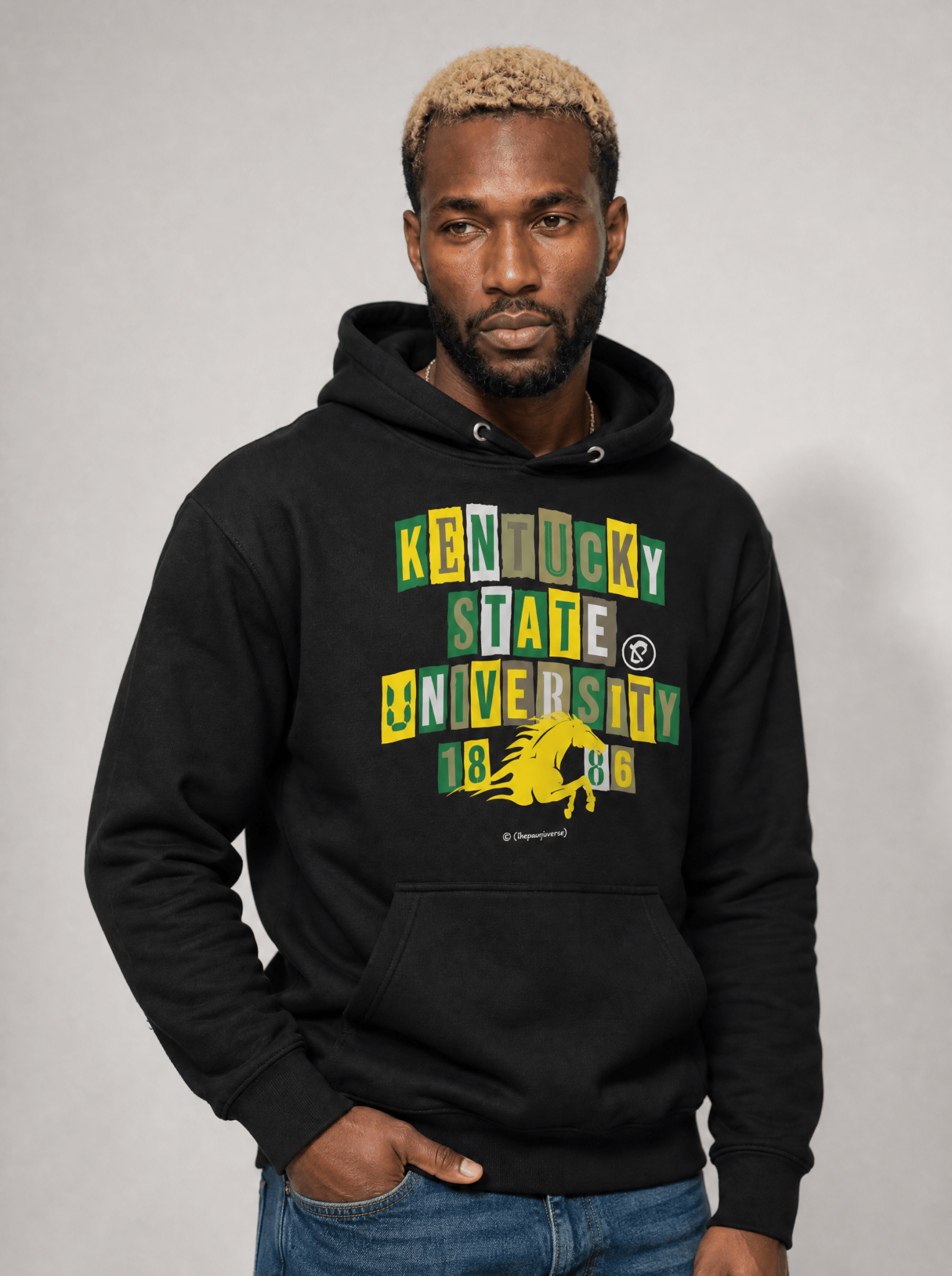 Kentucky State University - Collage Hoodie