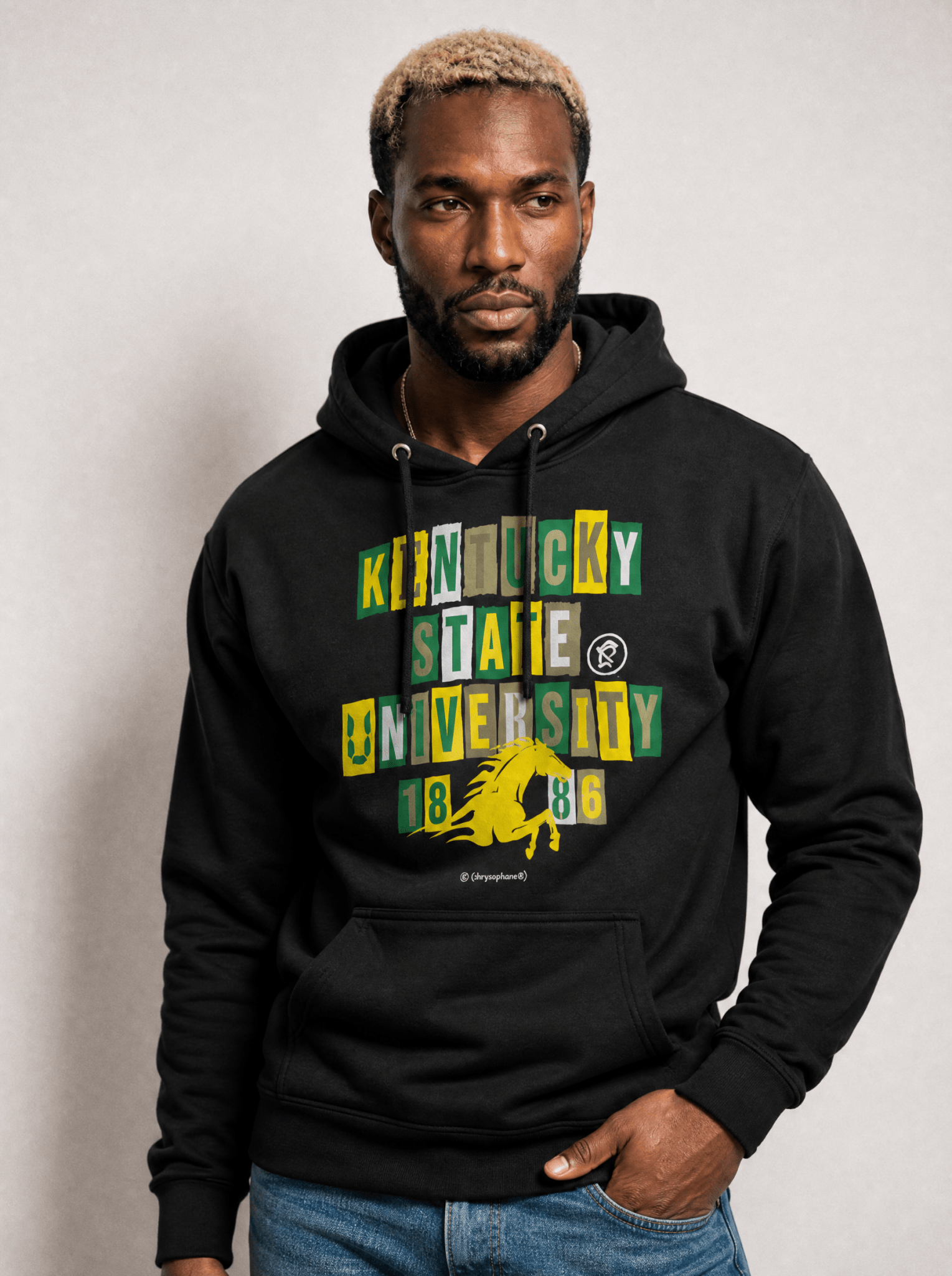 Kentucky State University - Collage Hoodie