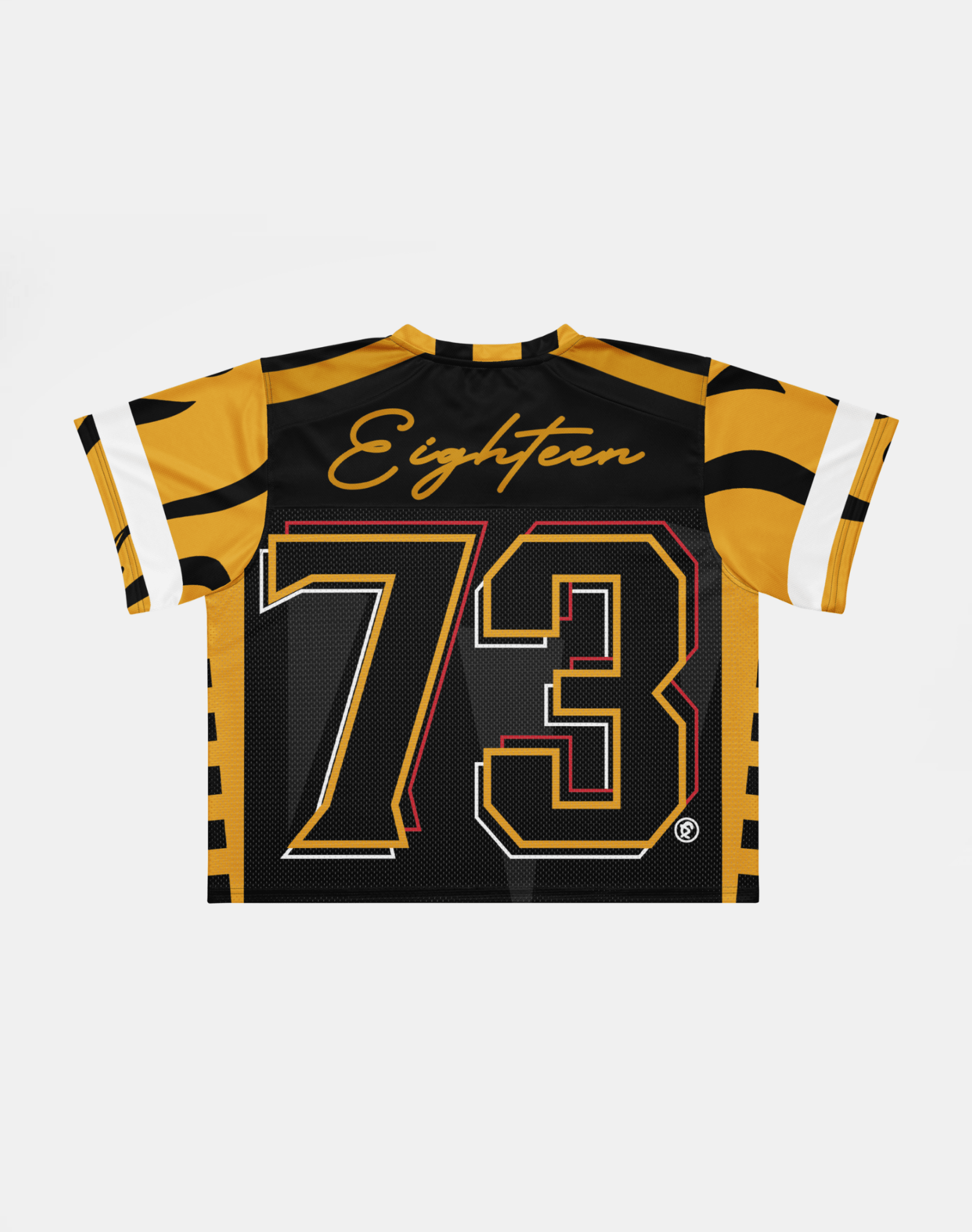 University of Arkansas Pine Bluff - Phenom HBCU Box Football Jersey