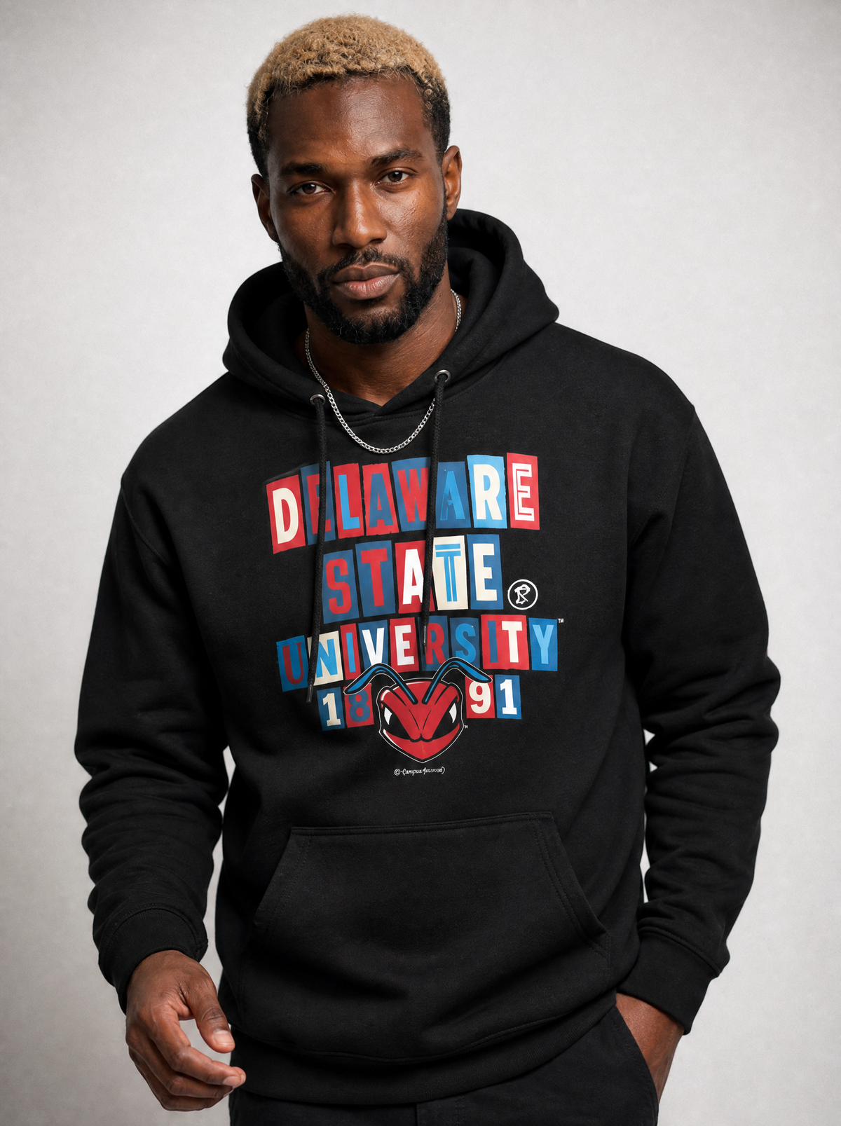 Delaware State University - Collage Hoodie